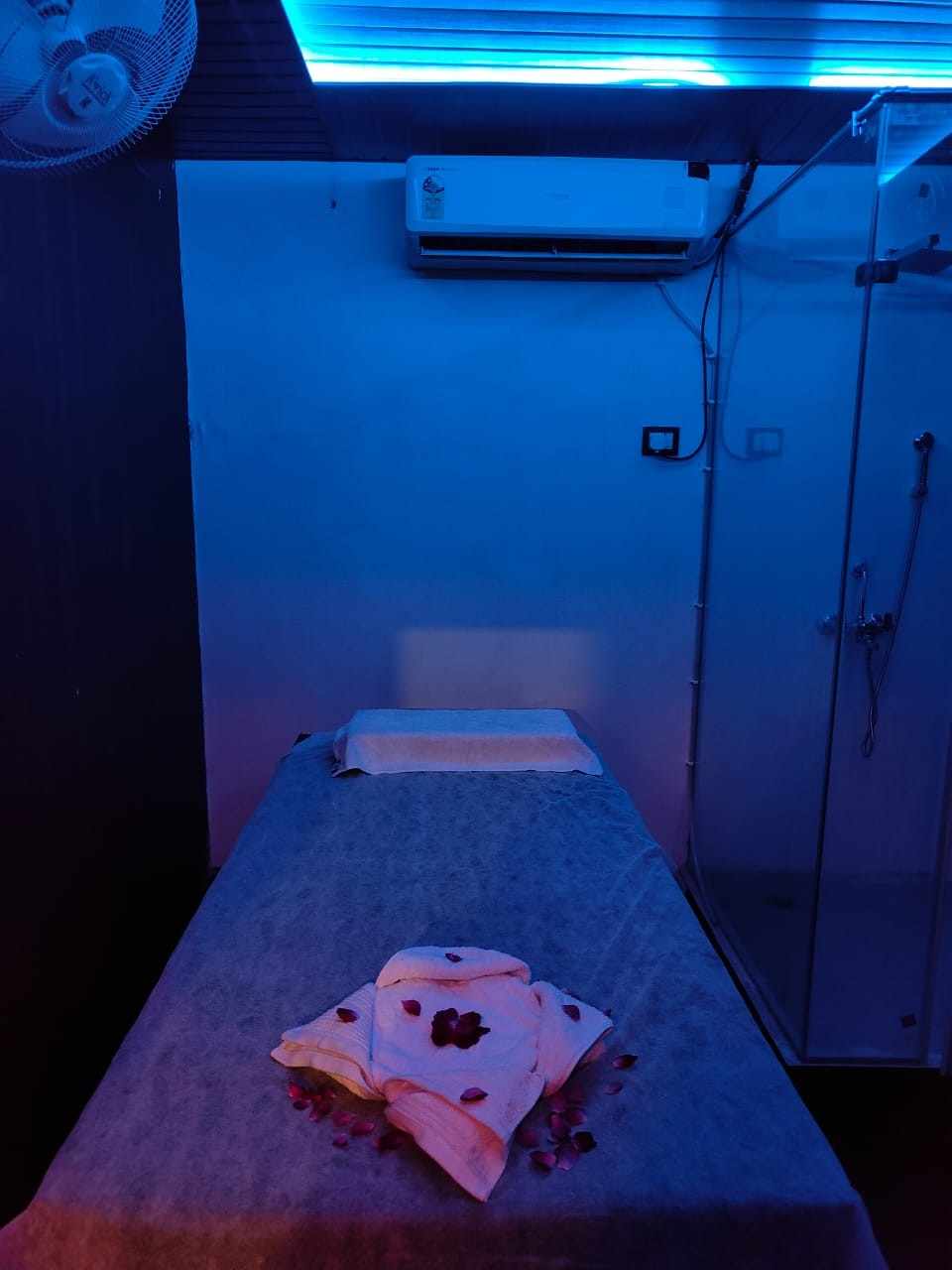 NATURAL POINT SPA bed area